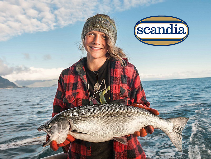 specialità ittiche, salmone selvaggio, Scandia, prodotti di mare, negozio online